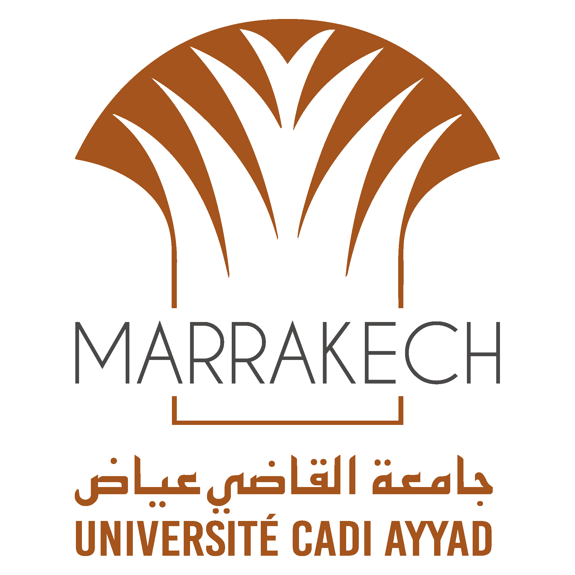 Université Cadi Ayyad